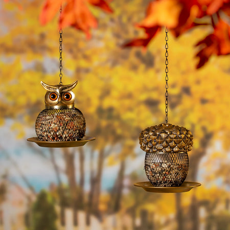 Outdoor Living-Bird Feeder