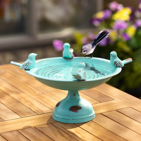 Outdoor Living-Birds Bath