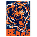 Chicago Bears, Suede GDN, Justin Patten Logo