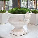 NAPA Acanthus footed compote 1790W side angle, distressed white ceramic handles