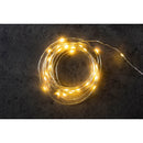 Mini Garden String Lights