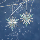 Season to Sparkle Ornament Snowflake Acrylic, Asst, 5"H