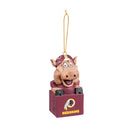 Mascot Ornament,  Washington Redskins,3ot3831mas