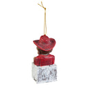 Mascot Ornament,  Nebraska,3ot949mas