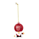 Indiana University, Gnome Fan Orn