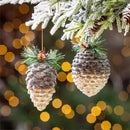 Winter Grove Ornament Pine Cone Glass, Asst, 5.25"H