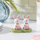 Easter Bunny Scene Ceramic Salt and Pepper Set