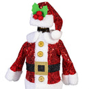 Heartfelt Cheer Barware Accessory Wine Bottle Costume, Asst of 2, CDU