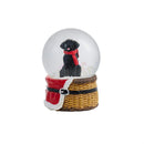 Heartfelt Cheer Water Globe Resin Christmas Dog, 3", CDU