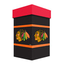 Chicago Blackhawks Ceramic Stein Cup, 24oz