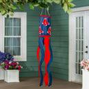 Boston Red Sox Windsock