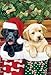 Flag,Gar,Stocking Pups