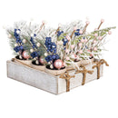 Season to Sparkle Faux Floral Table Decor Artificial Floral in Pot, 9"H