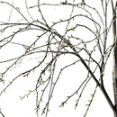 Indoor/Outdoor Electric Lighted Weep Willow Tree, 4' Tall