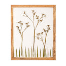 Dried Floral Glass Framed Wall Décor, 13"Lx16"H
