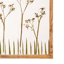 Dried Floral Glass Framed Wall Décor, 13"Lx16"H