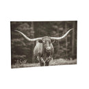 Outdoor Canvas Wall D√©cor, Longhorn, 36" L x 24" H