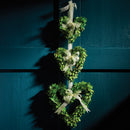 NAPA Home & Garden, BOXWOOD HEART WREATHS, SET OF 3,7517PG