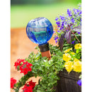 Decorative Trend Glass Watering Globes, 4 ASST, 12 PC CDU