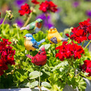 Cottage Garden Stake, For the Birds Plant Pick, Asst of 4, CDU