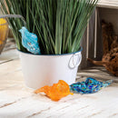 Blue Coastal Plant Support & Accessories, Watering Channel, Art Glass Seashell, CDU