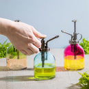 Garden of Wonder Plant Support & Accessories, Plant Mister, Two-Toned Glass, CDU