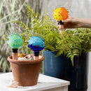 Palm Beach Plant Support & Accessories, Watering Globe, Art Glass Fish, CDU