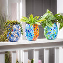 Blue Coastal Planter, Glass Planter with Plastic Self-Watering Top, CDU