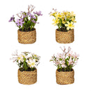 Hop Into Spring Faux Floral Table Decor Artificial Primrose Potted, 6"H, Asst of 4, In Wooden Crate