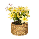 Hop Into Spring Faux Floral Table Decor Artificial Primrose Potted, 6"H, Asst of 4, In Wooden Crate