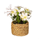 Hop Into Spring Faux Floral Table Decor Artificial Primrose Potted, 6"H, Asst of 4, In Wooden Crate
