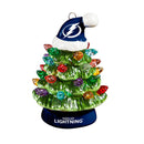 4" Mini LED Tabletop Christmas Tree, Tampa Bay Lightning