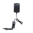 Clemson University College Pennant Glazelite LED Decor