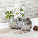 Pearl and Pine Planters, Mirror Glass Planters, Nested Set of 2