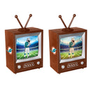 Miami Dolphins Vintage TV Water Lantern