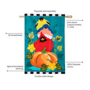 Portly Pumpkin Birds Applique Flag House