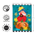 Portly Pumpkin Birds Applique Flag Garden