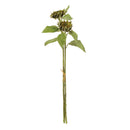NAPA Home & Garden, SEEDED SUNFLOWER STEMS 36", BUNDLE OF 2,CC222