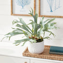 NAPA Home & Garden, STAGHORN FERN DROP-IN