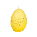 Hop Into Spring Egg Shaped Candle in Carton, Set of 6