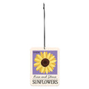 Cottage Garden Candles & Fragrance, Car Freshener, Set of 2, Asst of 4