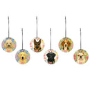 Hillside Pasture Pet Candles & Fragrance, Car Freshener, Asst of 6