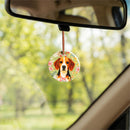 Hillside Pasture Pet Candles & Fragrance, Car Freshener, Asst of 6