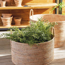 NAPA Home & Garden, SOFT FERN DROP-IN