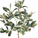 NAPA Home & Garden, OLIVE TREE WITH FRUIT IN POT 19.5",DI2019