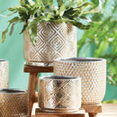 NAPA Home & Garden, PARAGON POTS, SET OF 2,DJ403