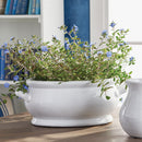 NAPA Home & Garden, BRADFORD OVAL CACHEPOT,F5159