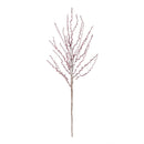 Napa Home Garden, FF BERRY-LICIOUS,ff0054