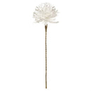 Napa Home Garden,  FF AVALANCHE,ff0107