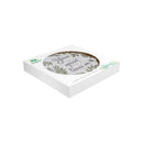 Memorial Garden & Memorial Stone, Your Spirit Lives On Cement Fern Garden Stone